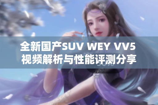 全新国产SUV WEY VV5 视频解析与性能评测分享