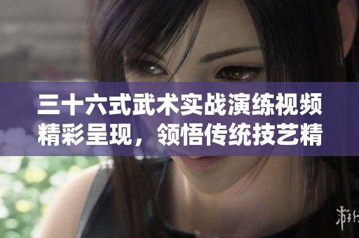 三十六式武术实战演练视频精彩呈现，领悟传统技艺精髓