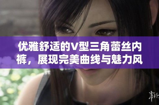 优雅舒适的V型三角蕾丝内裤，展现完美曲线与魅力风情