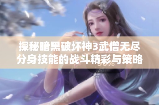 探秘暗黑破坏神3武僧无尽分身技能的战斗精彩与策略运用技巧