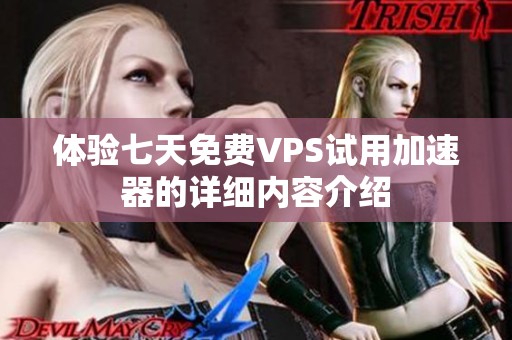 体验七天免费VPS试用加速器的详细内容介绍