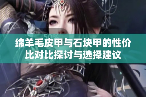 绵羊毛皮甲与石块甲的性价比对比探讨与选择建议