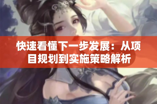 快速看懂下一步发展：从项目规划到实施策略解析