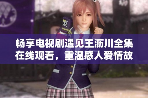 畅享电视剧遇见王沥川全集在线观看，重温感人爱情故事