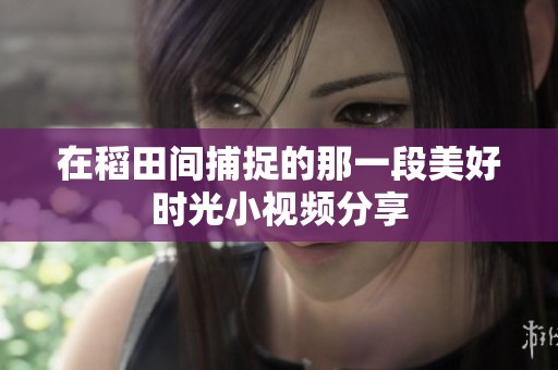 在稻田间捕捉的那一段美好时光小视频分享