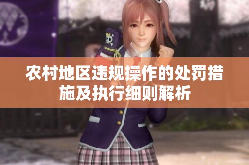 农村地区违规操作的处罚措施及执行细则解析