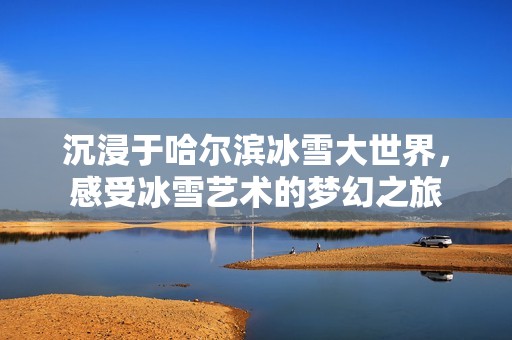 沉浸于哈尔滨冰雪大世界，感受冰雪艺术的梦幻之旅