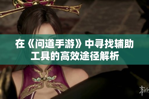 在《问道手游》中寻找辅助工具的高效途径解析