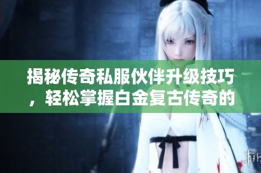 揭秘传奇私服伙伴升级技巧，轻松掌握白金复古传奇的战斗策略